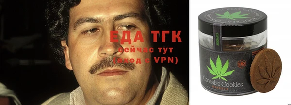 мет Алексин