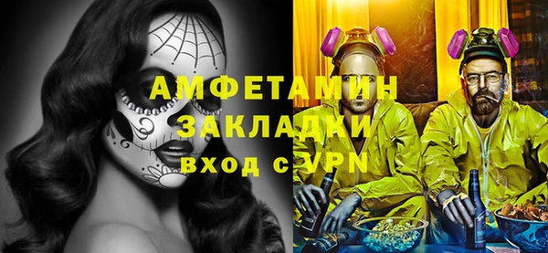 мет Алексин