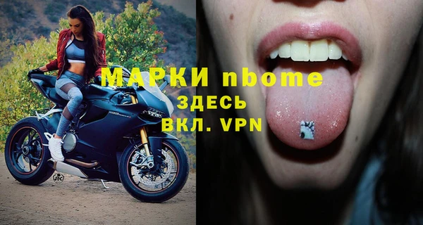 мет Алексин