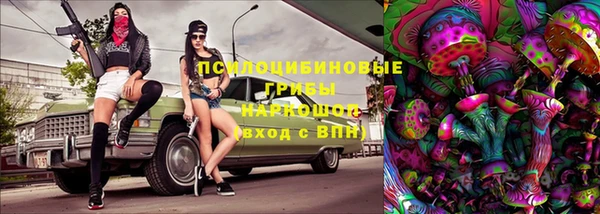 круглые Алзамай